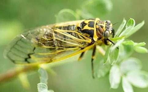 �����A��֪������300��5ƪ