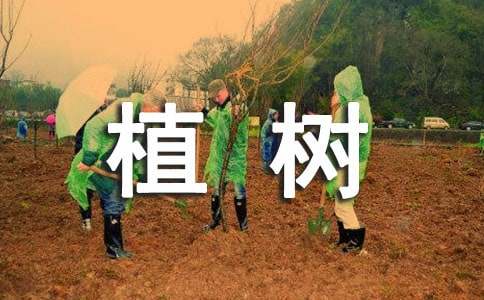 ֲ�������400�ַ���