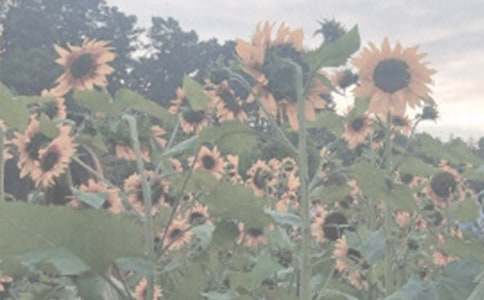 �Ϻ���ɽֲ��@��ӛ���ģ����x17ƪ��