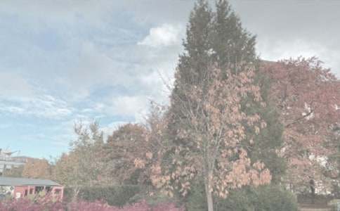 ֲ��@һ���ε�����