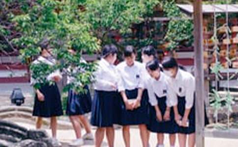 �P(gu��n)���ЌW(xu��)����������7ƪ