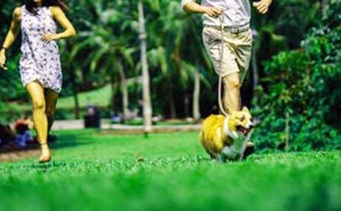 ��ĩ�dȤ������