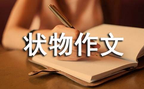 南瓜的狀物作文500字