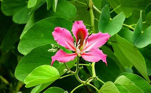 �����G�������ķ���