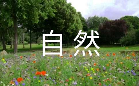 ���c��Ȼ������200�֣����x23ƪ��