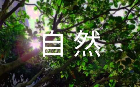 С���q����Ȼ֮��С�W(xu��)����