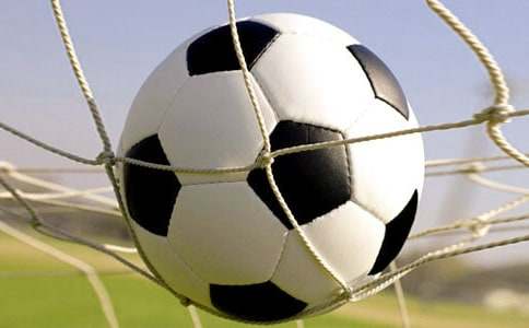 �����Һ�����Ĺ�������800�֣����x15ƪ��