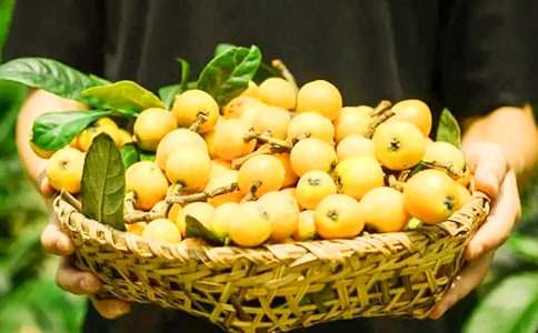 ���x��������300��3ƪ