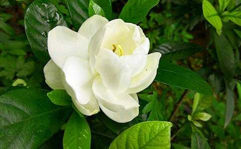 �d�ӻ�����200��