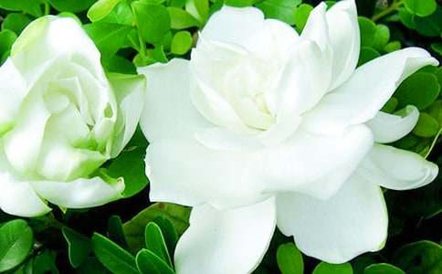 �d�ӻ��_����_��������