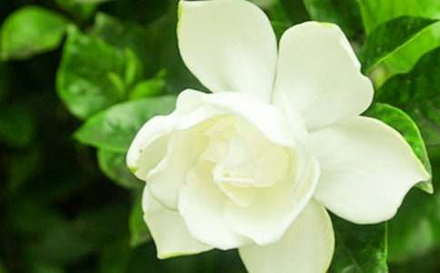 ��Ĩ�������d�ӻ����Ŀ������1500��