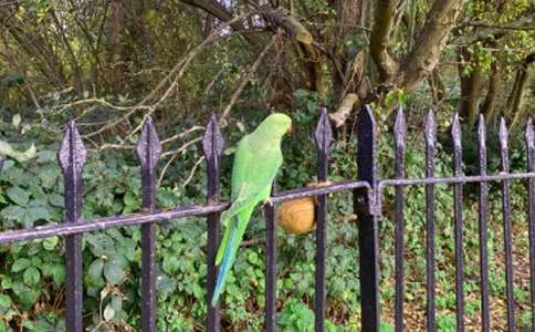 �W�^����300��9ƪ