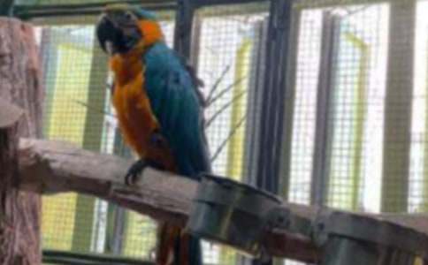 �P(gu��n)���W�^����300��4ƪ