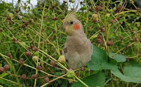 ��Ƥ�W�^�����ģ�ͨ��20ƪ��