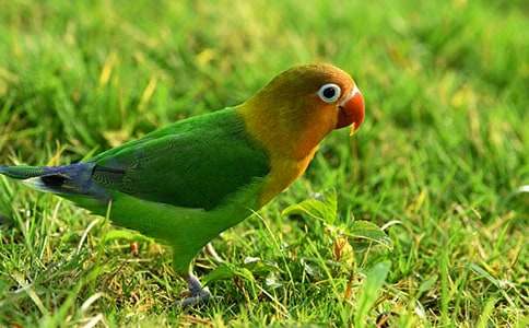 �ҵČ����W�^����700�֣�ͨ��30ƪ��