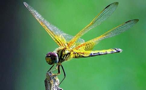 ����Ʒ����������300��4ƪ