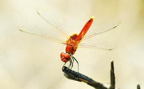 ���o(h��)���ѵ�����400�֣����x6ƪ��