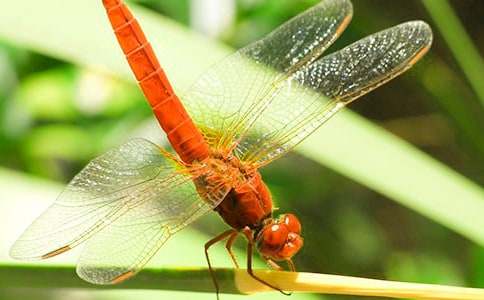 ��������300����ƪ