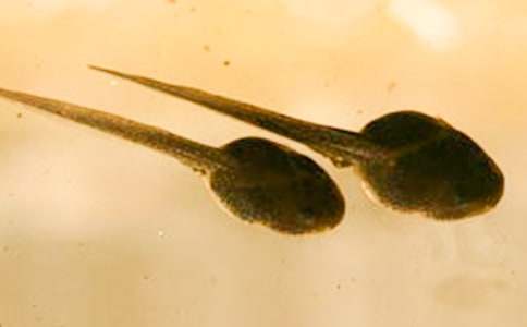 ����Ʒ���������300��3ƪ