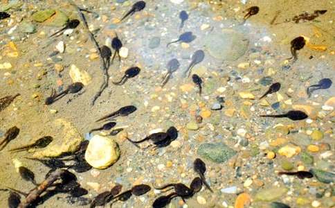 С���ͯԒ����200��