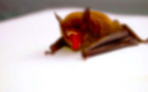 ����400�փ�(y��u)�����ģ�ͨ��25ƪ��