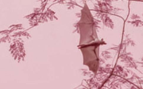 �����A����������600����ƪ