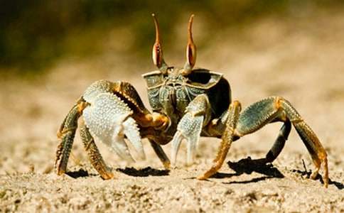 �����A���з����500����ƪ