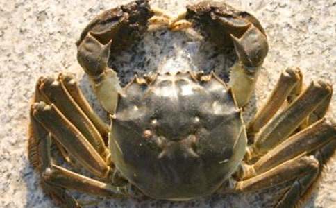 ���з����500��