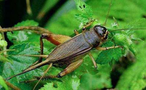 ������400�ְ�ƪ