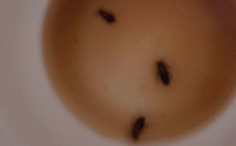 ���x�������300��4ƪ