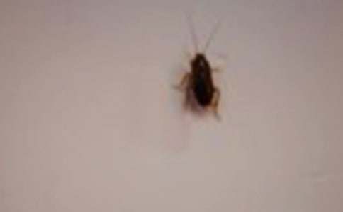 �����ӛ_����