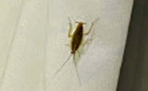 �������400�ְ�ƪ