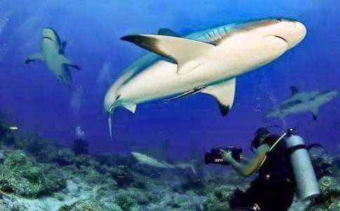 ���~���씳С�W(xu��)����400��