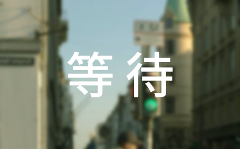 等待等待作文4篇