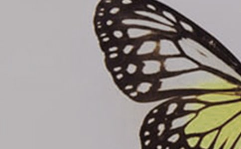 ���������ąR��5ƪ