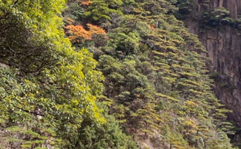 ���P(gu��n)���Sɽ������8ƪ