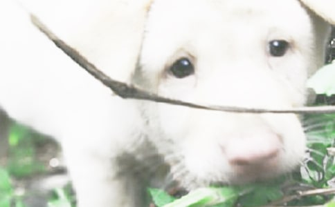 ����Ʒ��С�����꼉�������\��7ƪ