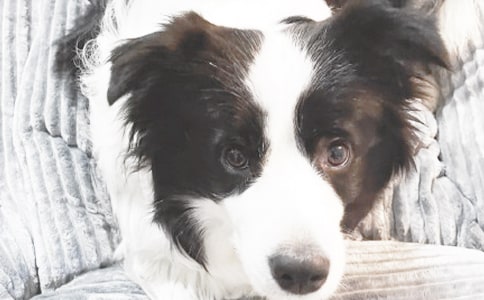 �ɐ۵�С�����ļ���10ƪ